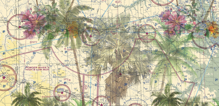 Bold Hawaiian Shirts