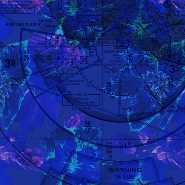 swatch from Blue aviation-theme polo shirt