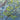 swatch from Florida coast aviation chart pattern on men's Hawaiian shirt