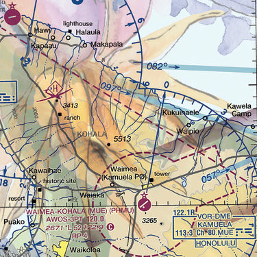 AOP Hawaiian Shirt The Maui Luau shirt