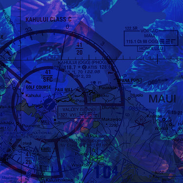 swatch from Blue aviation-theme polo shirt