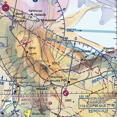 AOP Coconut Button Shirt The Kauai Volcano Tour Coconut Button Camp Shirt